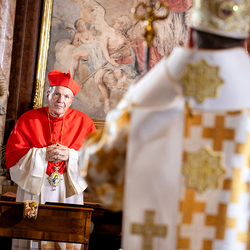 byzantinisches Pontifikalamt Stephansdom